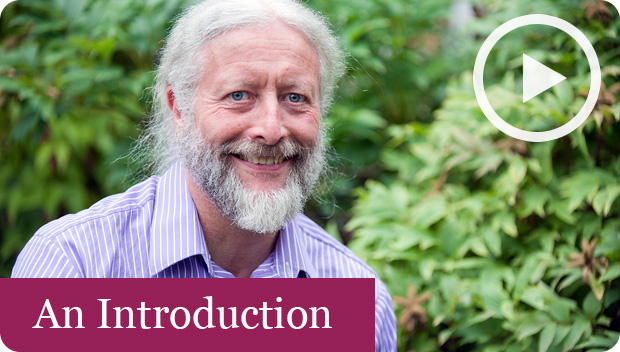 The Rosedale Clinic Introduction